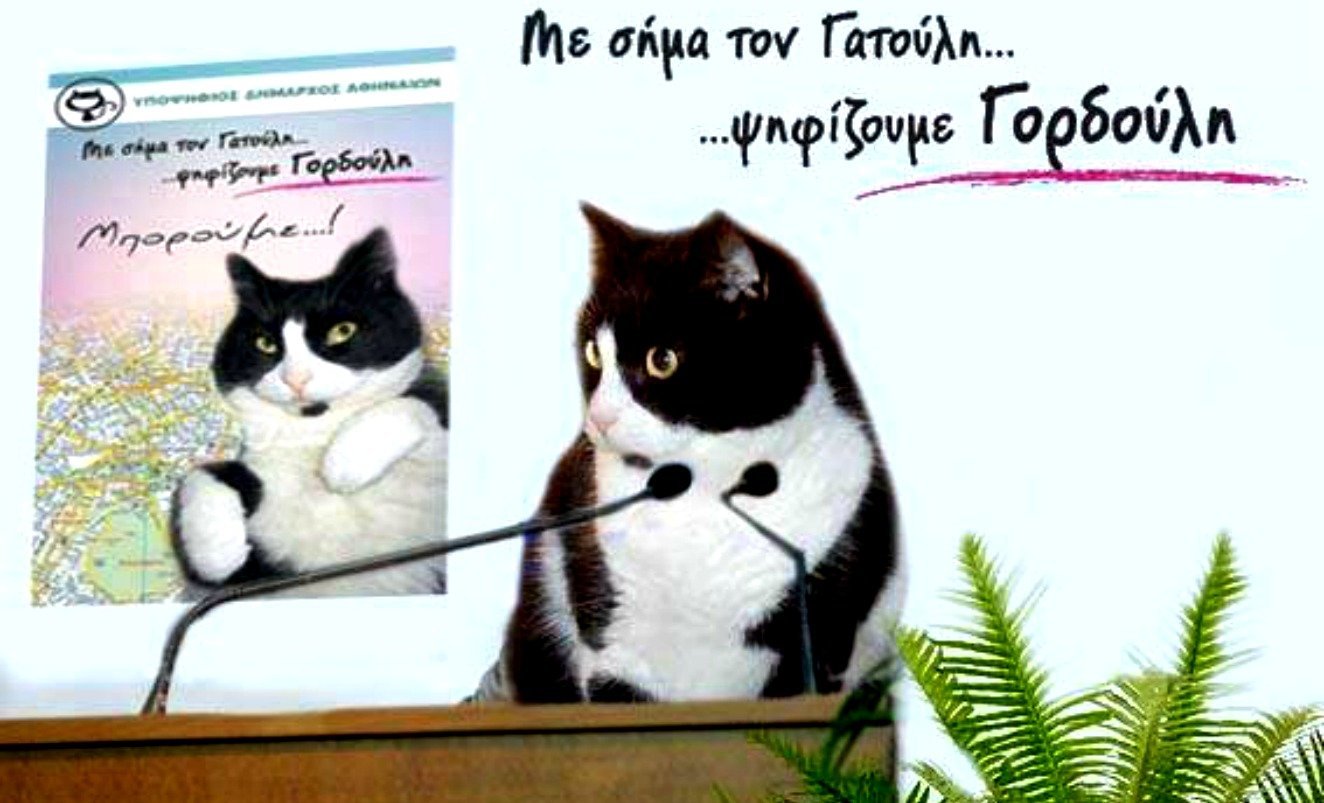 Ο (πιο) γάτος υποψήφιος δήμαρχος της Αθήνας αποκλειστικά στο Provocateur