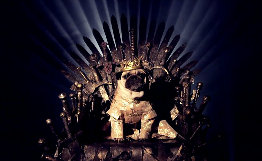 Ακόμη και τα σκυλιά βλέπουν Game of Thrones (video & photos)