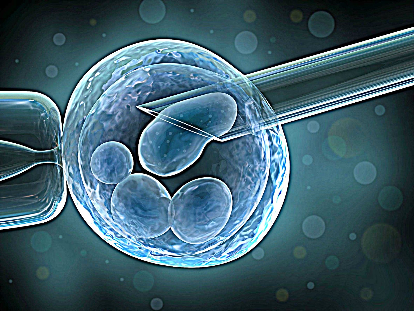 Το παρτουζόπαιδο: Γενετικό κοκτέιλ  με έμβρυα από τρεις γονείς σε βρετανικά εργαστήρια