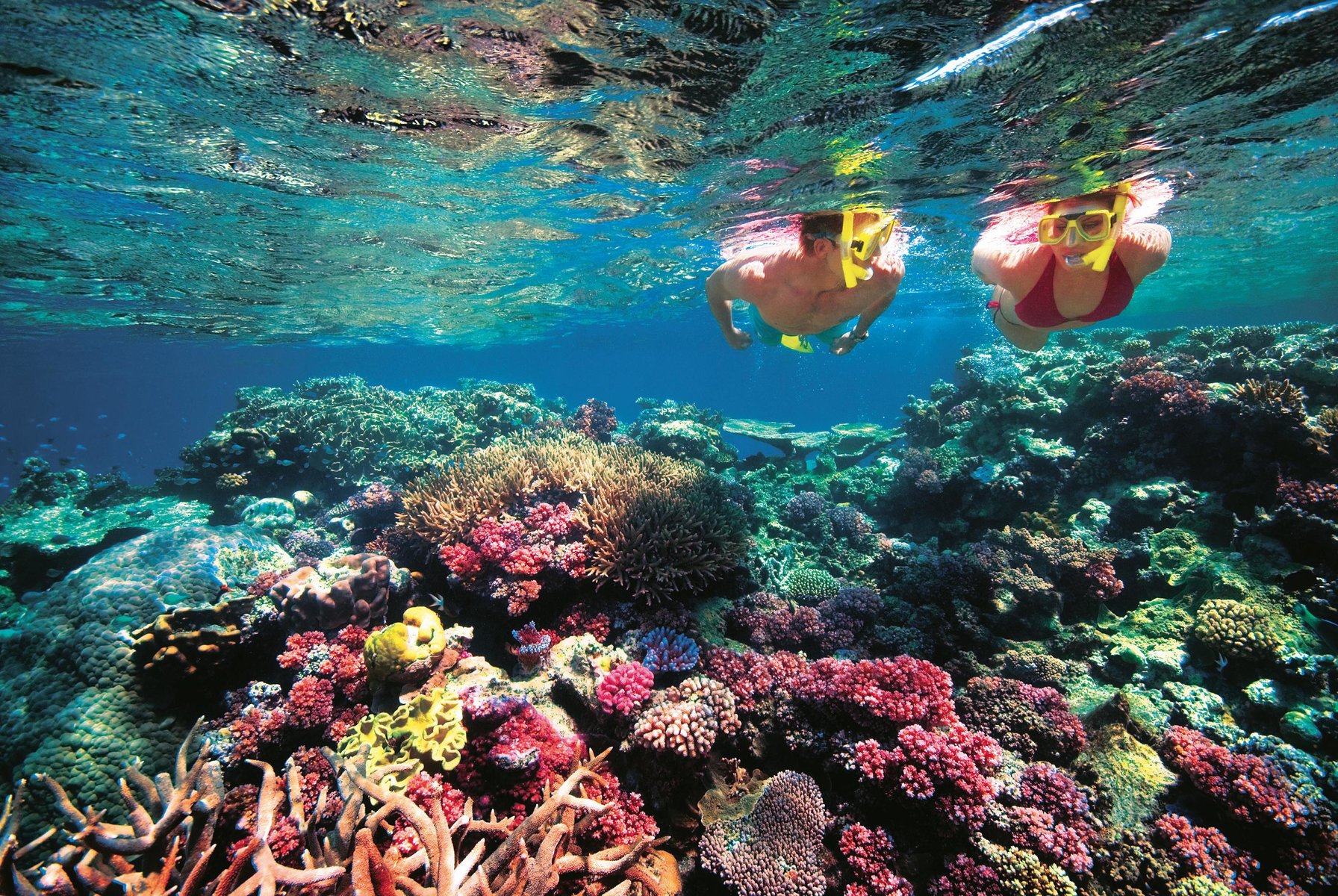 Great Barrier Reef: Το μεγαλύτερο ζωντανό έργο τέχνης!