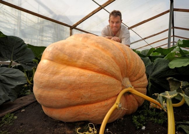 Καλλιέργησαν κολοκύθα που ζυγίζει 736 κιλά! (photos)