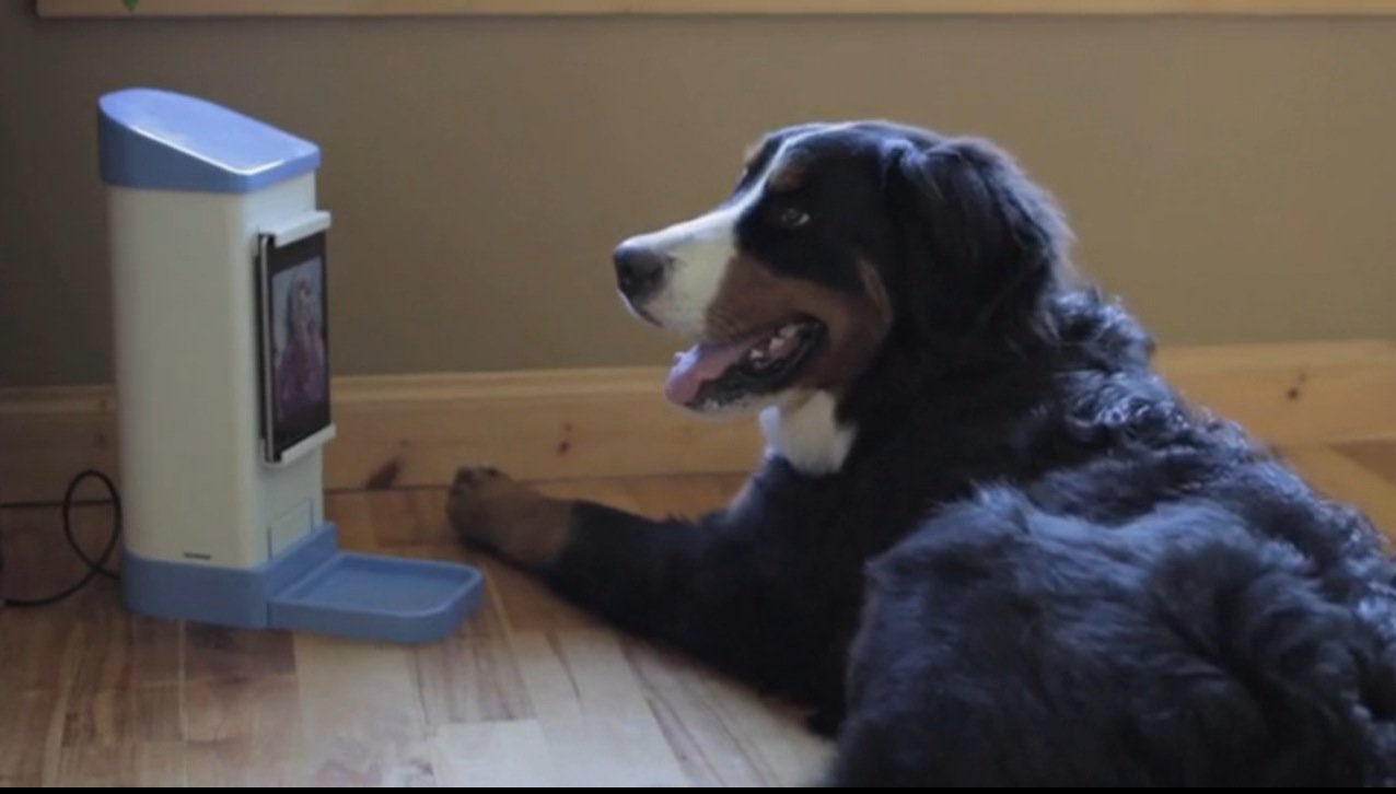 Εφαρμογή για να κάνεις τσατ με το σκύλο σου! (video)