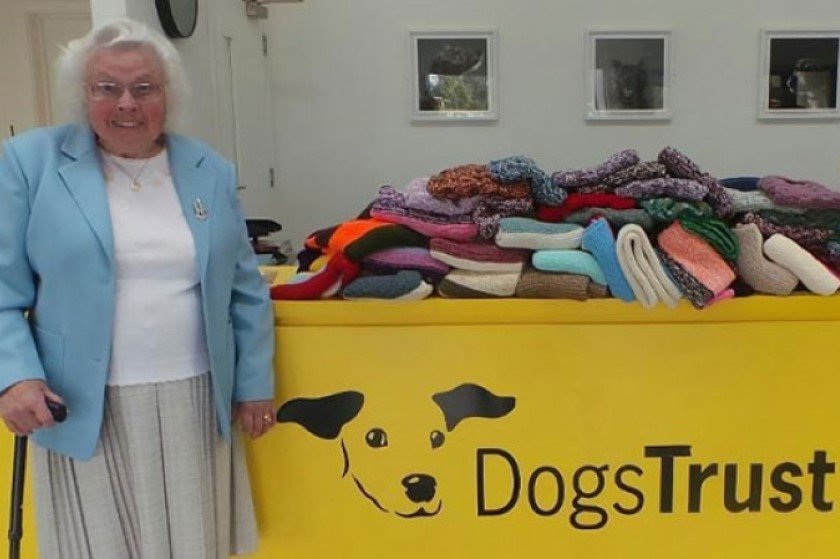 ΥΠΕΡΓΛΥΚΟΥΛΑ 89χρονη πλέκει 450 κουβέρτες για καταφύγιο αδέσποτων σκύλων