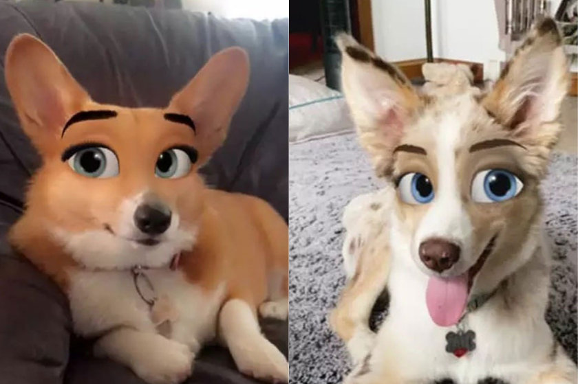 Το Snapchat κάνει τα σκυλάκια μας ήρωες της Disney και ο Πλούτο ήδη ξεκίνησε να διαμαρτύρεται