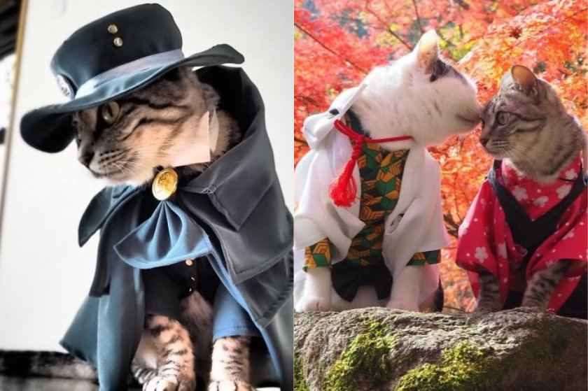 Τύπος ντύνει τις γάτες του με χαρακτήρες anime και εμείς απλά προσκυνάμε