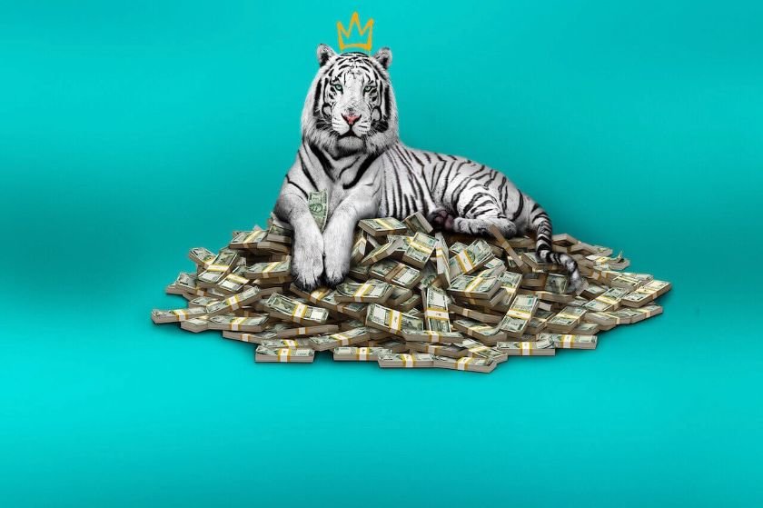 Πώς βρέθηκε η ταινία “The White Tiger” στην κορυφή του Netflix σε 64 χώρες;