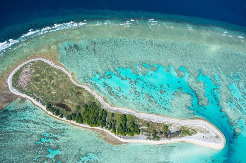 Ιανουάριος στο Viasat Nature: το θαύμα του Μεγάλου Κοραλλιογενή Ύφαλου και απίθανες περιπέτειες με γητευτές φιδιών
