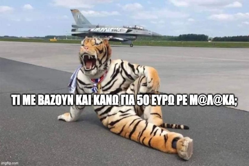 Τι πραγματικά έγινε με τις viral τίγρεις στην Πολεμική Αεροπορία