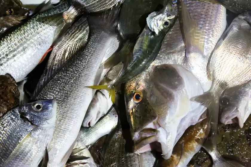 Το βίντεο ντροπής της ημέρας: Στην Κάρπαθο τηγανίζουν ψάρια ζωντανά και σπάνε και πλακίτσα
